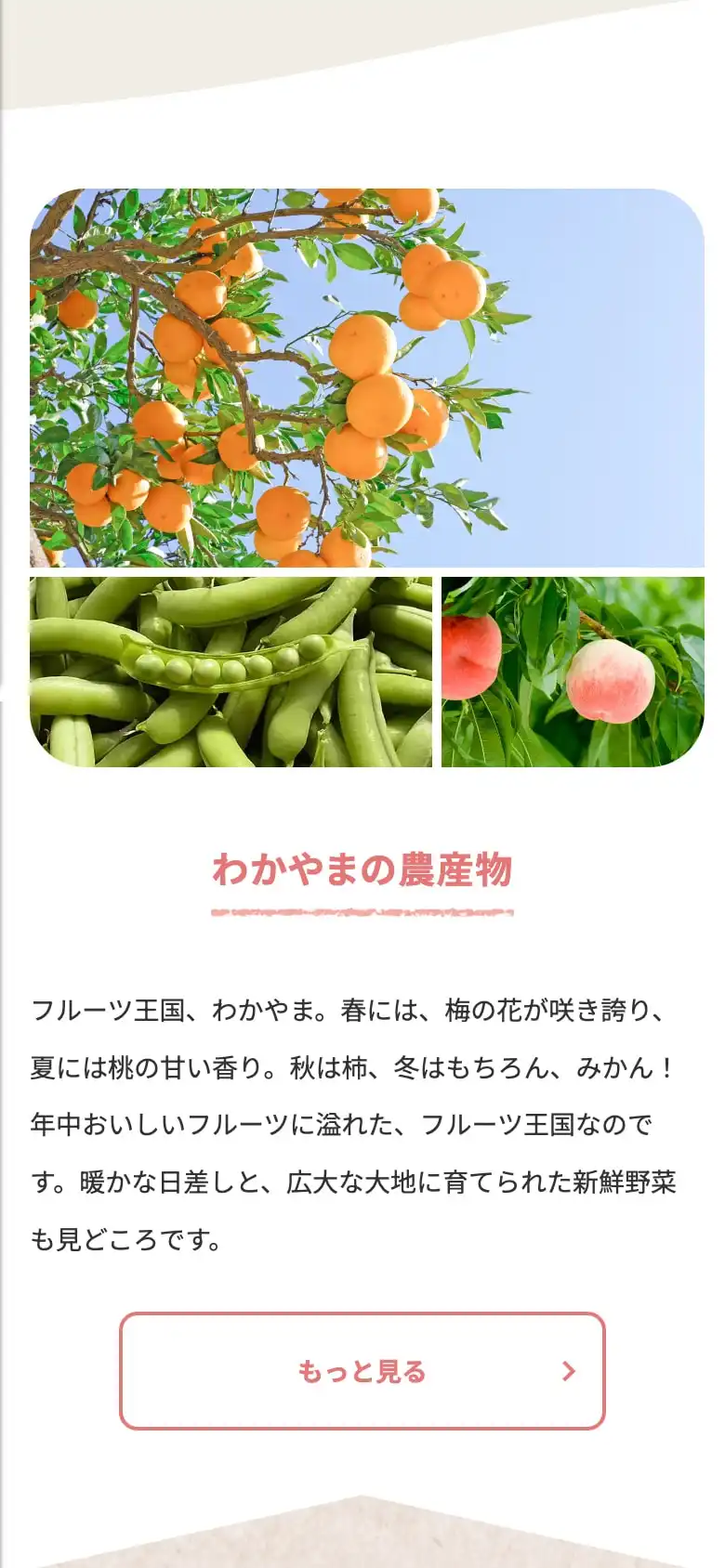 わかやま農産物安心プラス強化事業のWebサイトのスクリーンショット